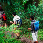Batwa Cultural Experience